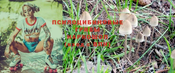 соль курить ск Горняк