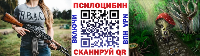 Псилоцибиновые грибы Psilocybe  Мосальск 